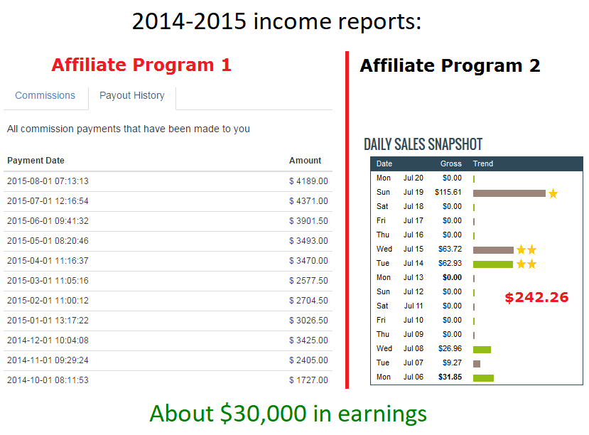 2015 affiliate income report