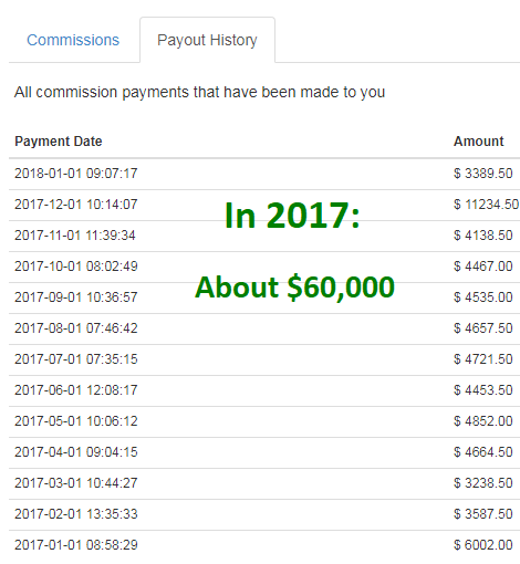 2017 affiliate income report