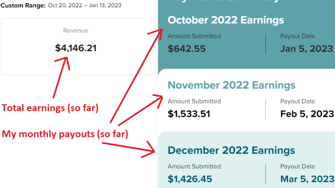 how much can you make with mediavine 05