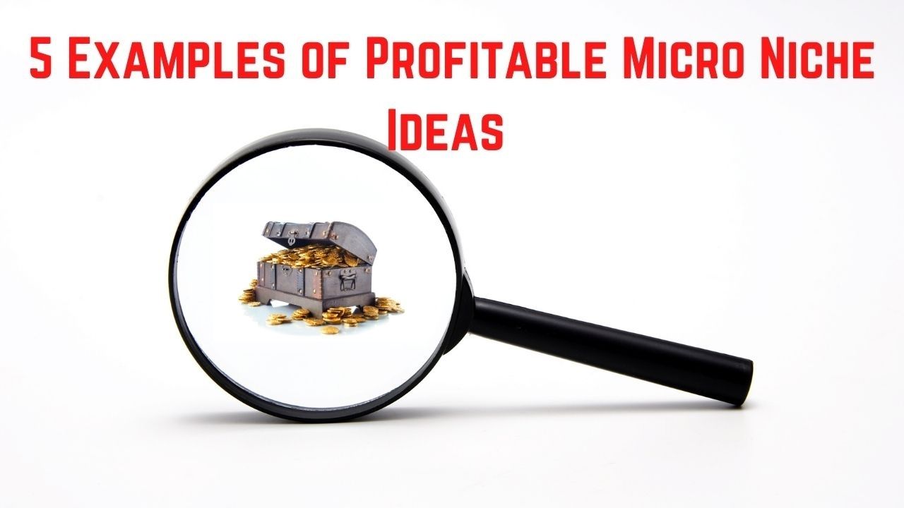 micro niche examples 01