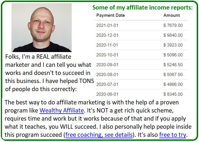 wealthy affiliate vs passive profit pages