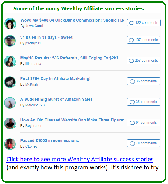the fast tracks vs wealthy affiliate