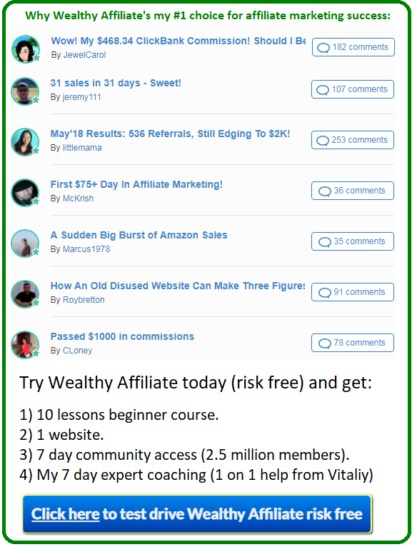 wealthy affiliate alternative vs build your empire university